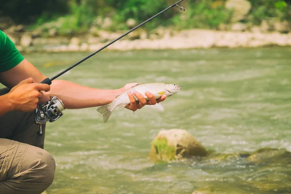 Pesca da truta em um rio de montanha — Fotografia de Stock