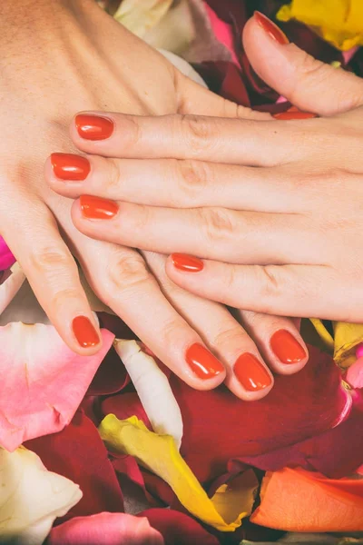 指甲上有红色指甲的女人的手 — 图库照片