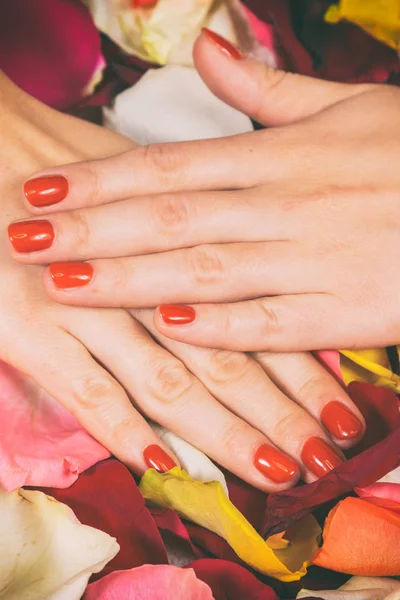 Mãos de uma mulher com manicure vermelho em pregos — Fotografia de Stock