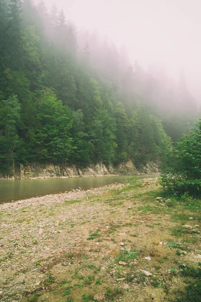 Hermoso paisaje en el río de la montaña. Vacaciones de verano y holi — Foto de Stock