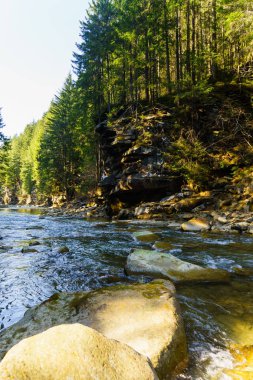 Muhteşem dağ nehir ve orman manzarası