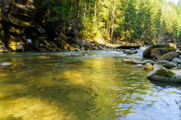 Magnífica paisagem fluvial e florestal de montanha — Fotografia de Stock