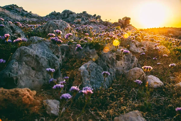 Girit sahil muhteşem günbatımı — Stok fotoğraf