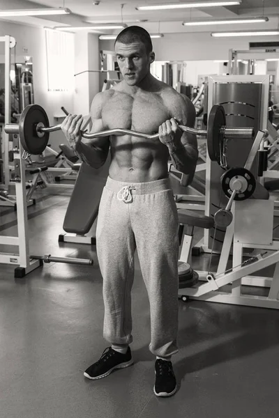 Entrenamiento de fuerza en el gimnasio —  Fotos de Stock