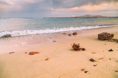 Kabukları ve Mercan Denizi