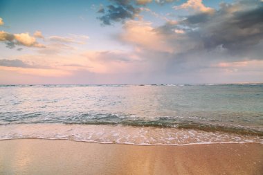 Kabukları ve Mercan Denizi