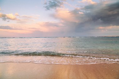 Kabukları ve Mercan Denizi