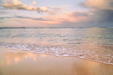Kabukları ve Mercan Denizi