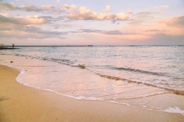 Kabukları ve Mercan Denizi