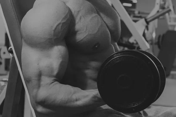 Entrenamiento de fuerza en el gimnasio — Foto de Stock