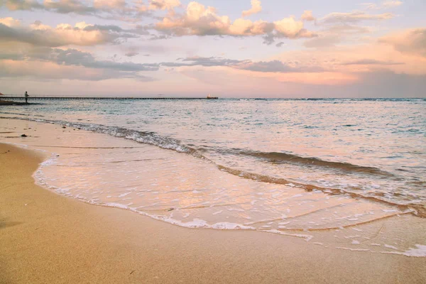 Coquilles et corail sur la mer — Photo