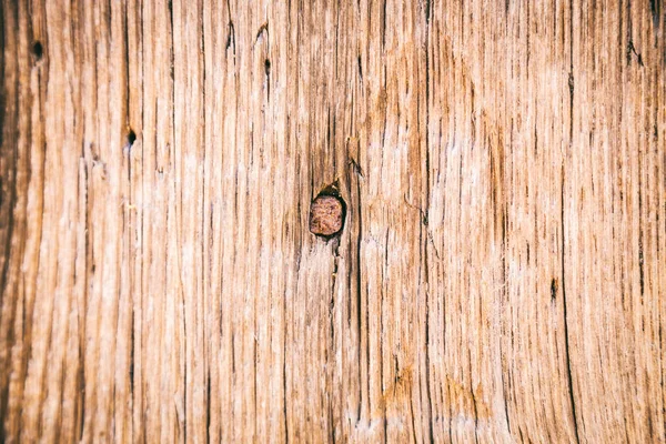 Oude houten deur op de foto. — Stockfoto
