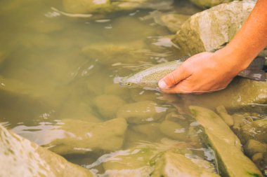 genç adam Balık tutma