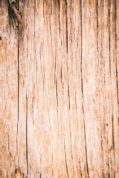 Staré dřevěné dveře na fotografii. — Stock fotografie