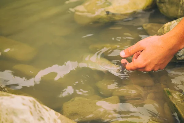 Jovem pesca — Fotografia de Stock