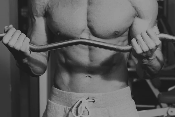 Erős, izmos test, az edzőteremben — Stock Fotó