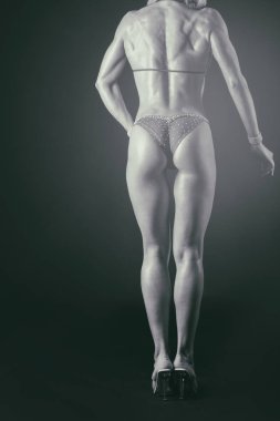 Profesyonel fitness atlet