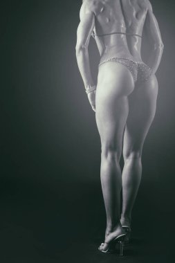 Profesyonel fitness atlet