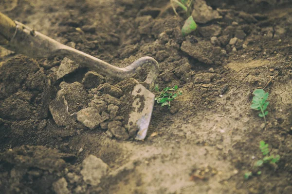 Das Konzept der Gartenarbeit — Stockfoto