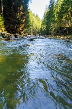 Muhteşem Dağları, dağlık arazi seyahat