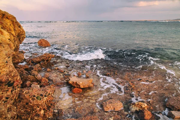 Vackra röda havet, vackra naturen. — Stockfoto