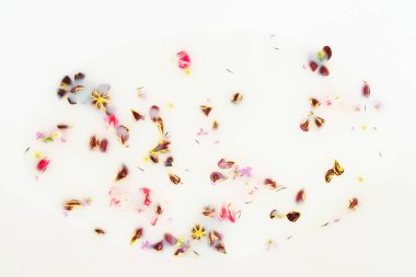 Süt ile bir banyo çiçeklenir