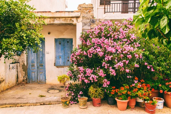 Pintorescos patios griegos, lugares de interés de la ciudad . — Foto de Stock