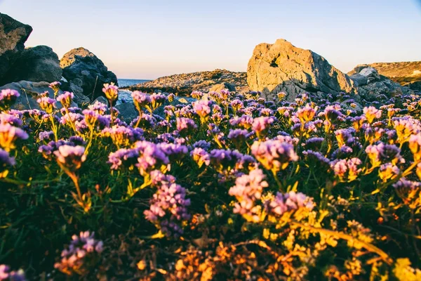 Yunanistan'da harika gün batımı — Stok fotoğraf