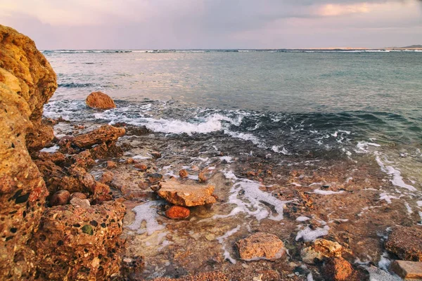 Vackra röda havet, vackra naturen. — Stockfoto