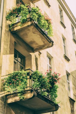 Krakow, Polonya - 15 Eylül: Krakow, Polonya üzerinde sokaklarında