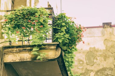 Krakow, Polonya - 15 Eylül: Krakow, Polonya üzerinde sokaklarında