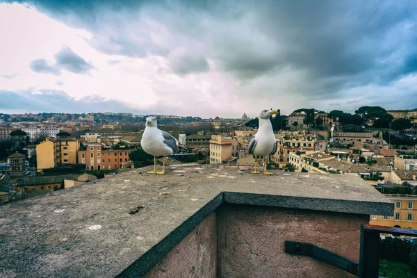 Belles vues et architecture de Rome — Photo