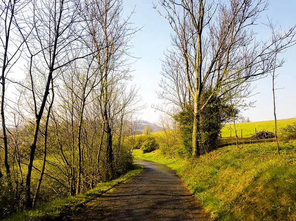 Magnifique route pittoresque, la beauté de la nature . — Photo