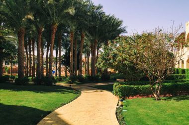 Güzel mimari ve Bahçe planlama