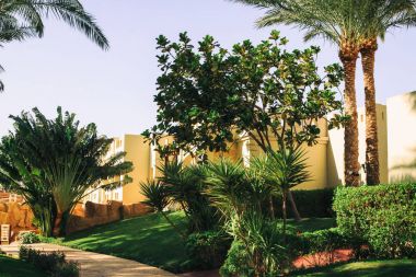 Güzel mimari ve Bahçe planlama