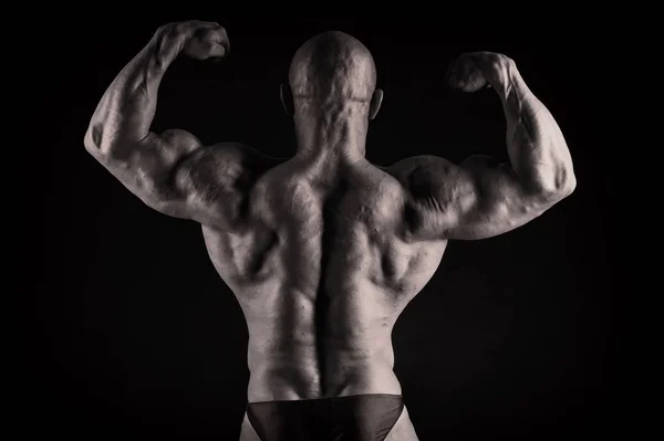 O corpo bombeado de um homem bonito. O conceito de musculação — Fotografia de Stock