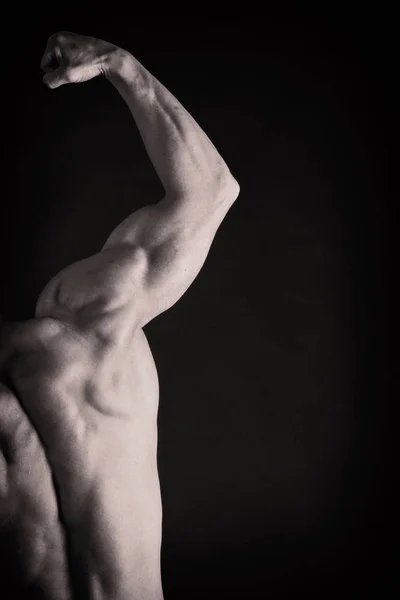 Il corpo pompato di un uomo bellissimo. Il concetto di bodybuilding — Foto Stock