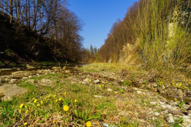 Dağlar, dağ nehir, manzara nefis doğa