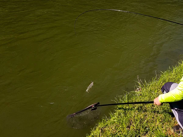 Pesca attiva spinning sul fiume — Foto Stock