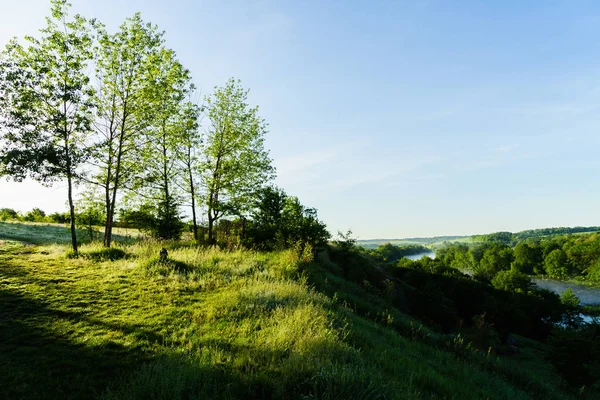 Herrliche Natur, schöne Wälder und Wiesen — Stockfoto