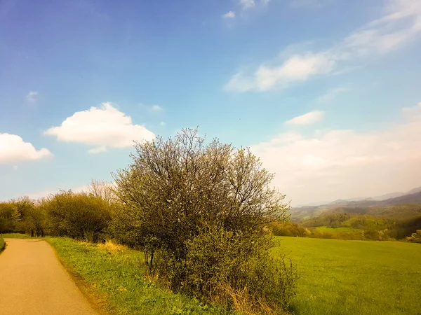 Magnificent nature, beautiful forests and meadows