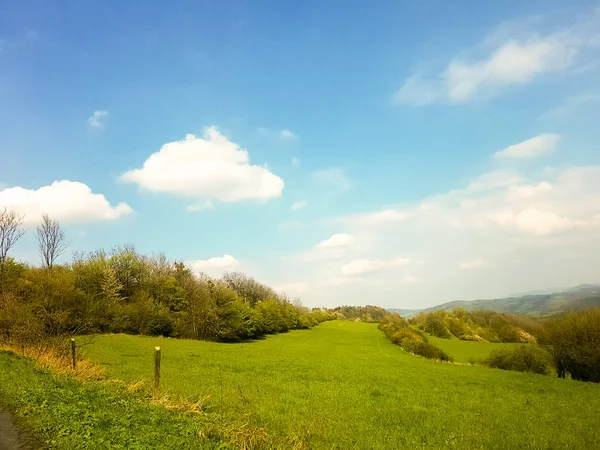 Magnificent nature, beautiful forests and meadows