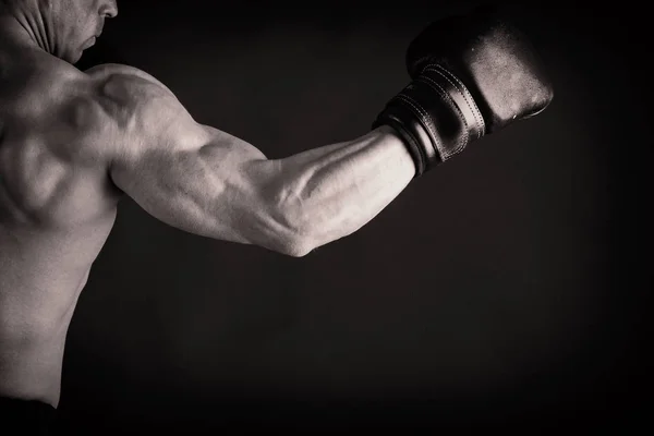 筋肉運動体ビルダーフィットネスモデル — ストック写真