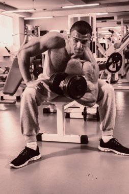 Kaslı erkek vücut. Sonuç vücut geliştirme egzersiz programı