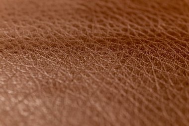 Güzel kumaş, arka plan