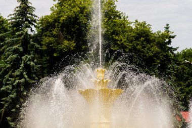 Parktaki güzel çeşme