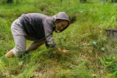Çocuk ormanda mantar toplar