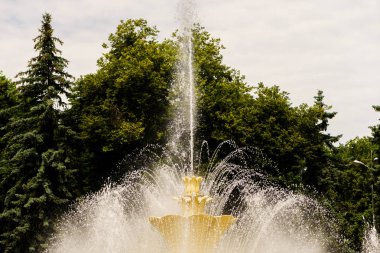 Parktaki güzel çeşme