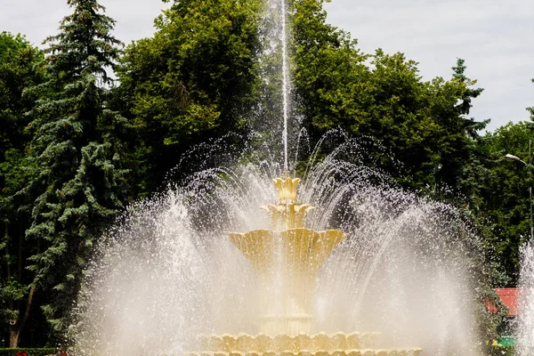 Hermosa Fuente Parque — Foto de Stock