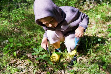 Çocuk ormanda mantar toplar